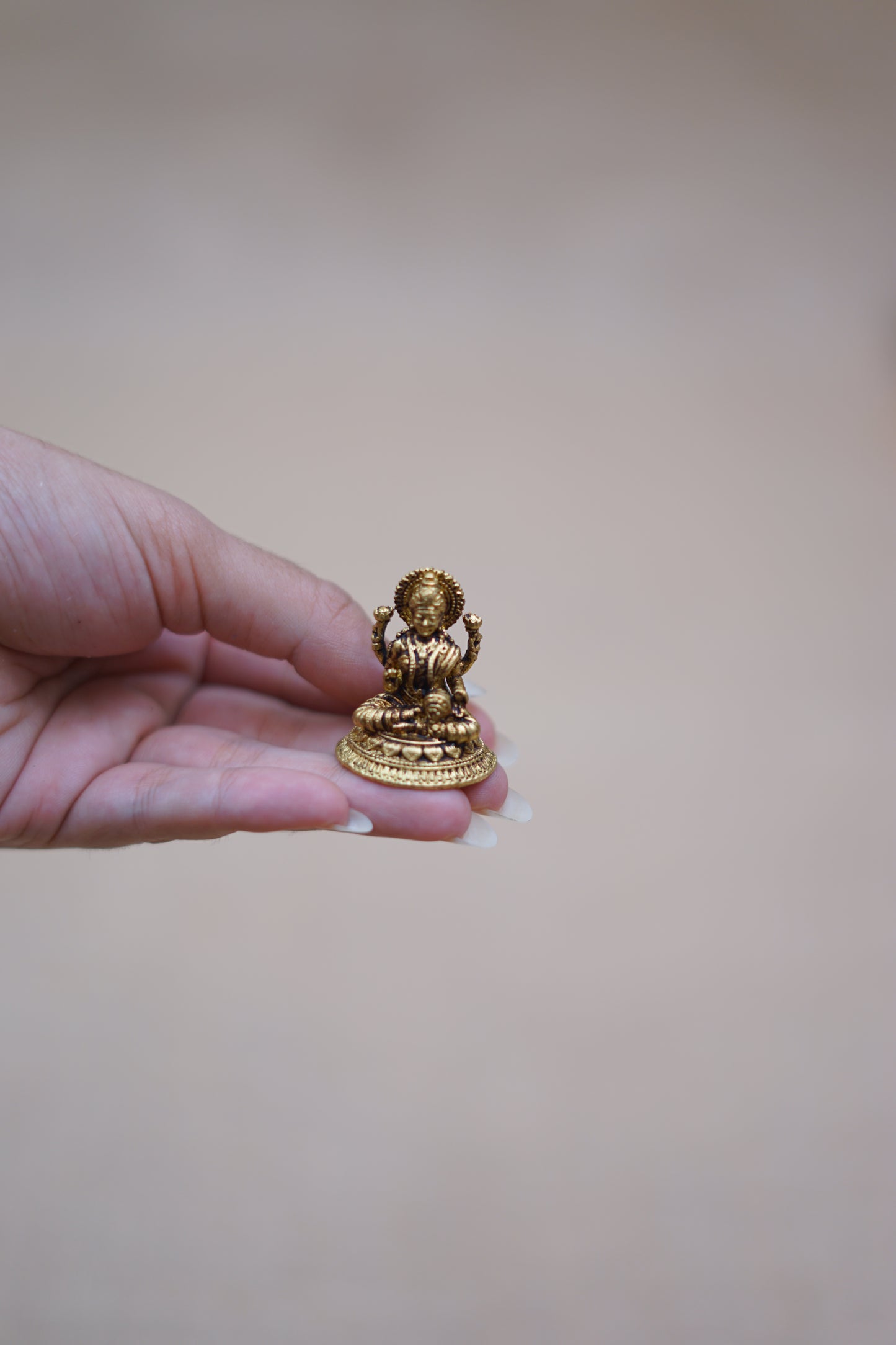 Lakshmi Idol