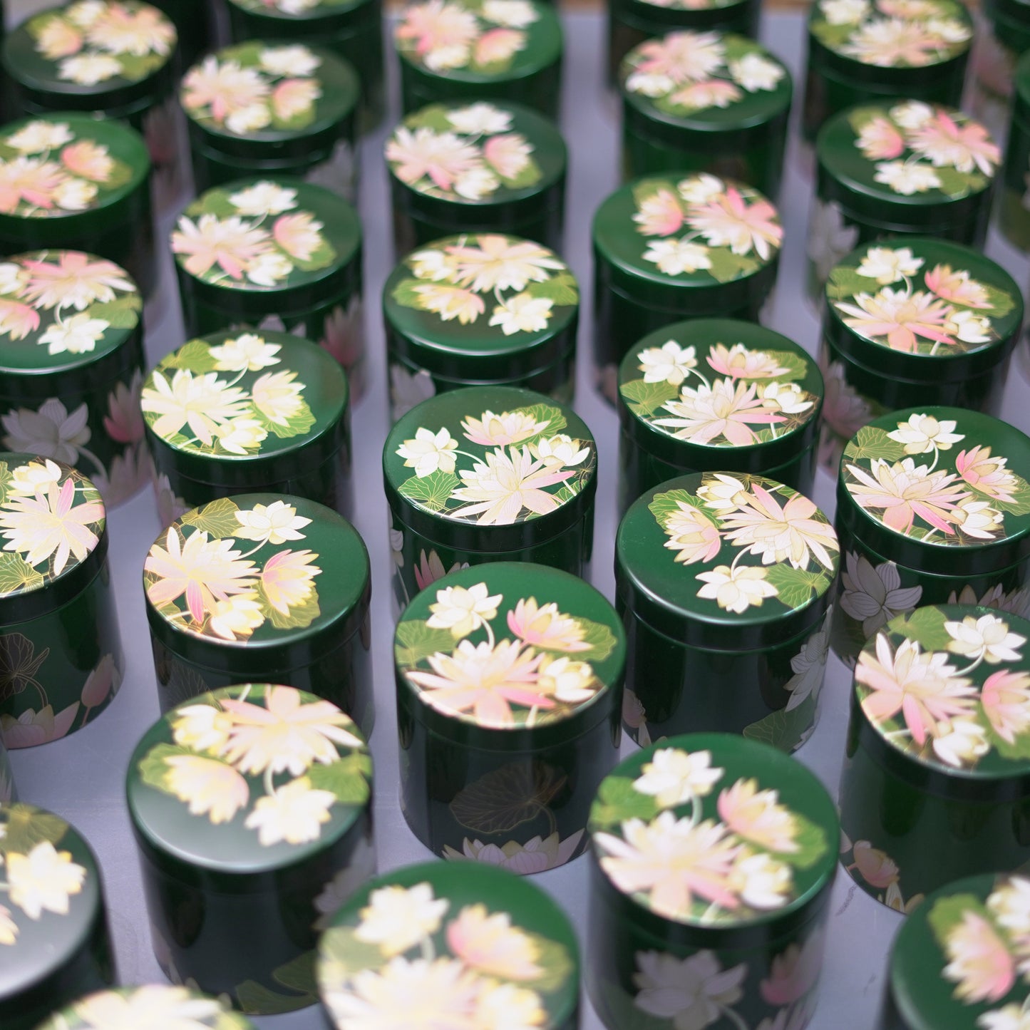 Floral Air Tight Container (assorted)