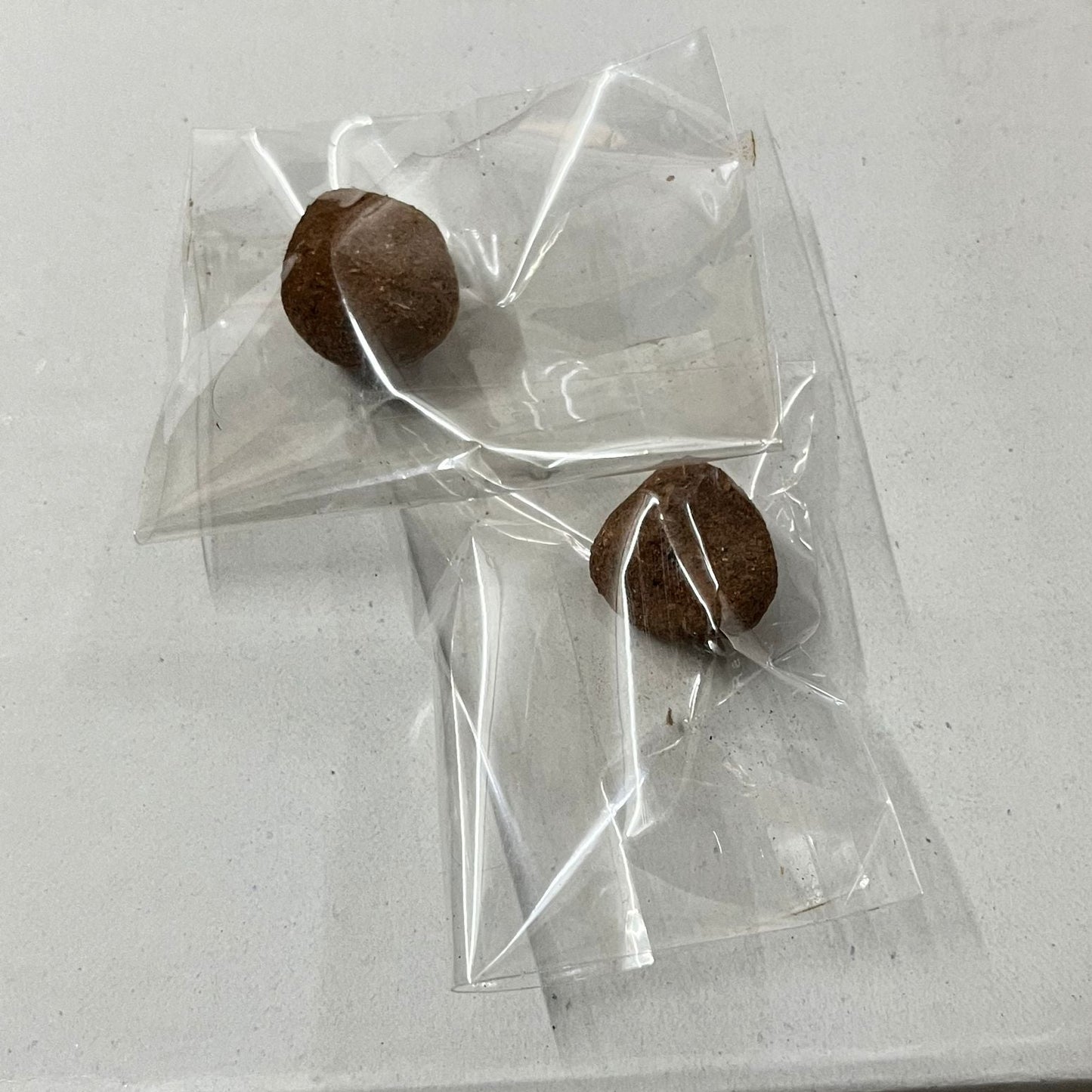 Seed ball